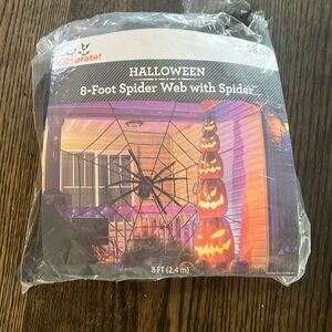 Halloween spider web with spider